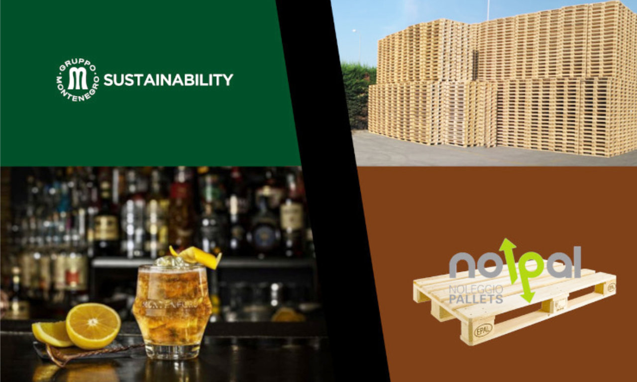 Montenegro e NolPal: pallet EPAL sicuro e più green